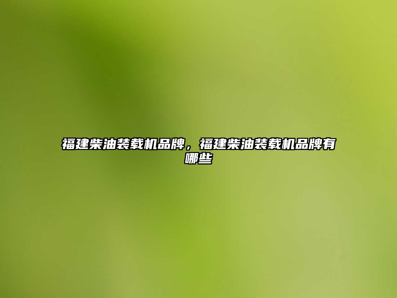 福建柴油裝載機(jī)品牌，福建柴油裝載機(jī)品牌有哪些