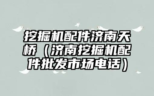 挖掘機配件濟南天橋（濟南挖掘機配件批發(fā)市場電話）