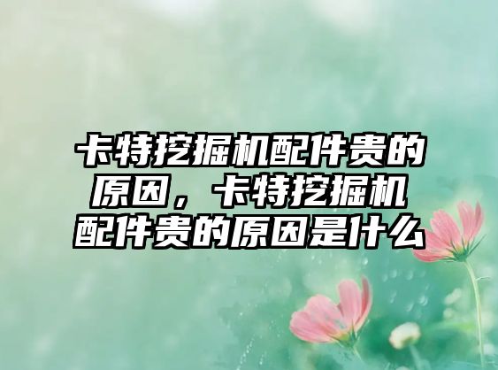 卡特挖掘機(jī)配件貴的原因，卡特挖掘機(jī)配件貴的原因是什么
