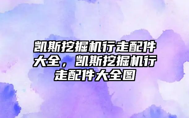 凱斯挖掘機行走配件大全，凱斯挖掘機行走配件大全圖