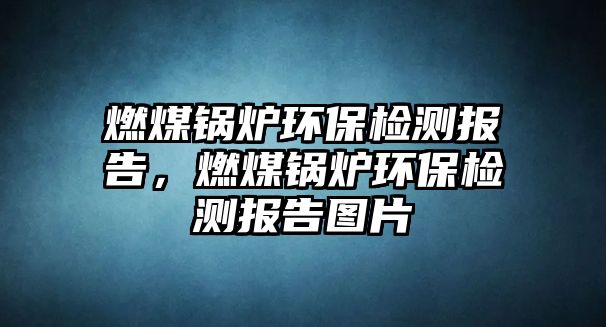 燃煤鍋爐環(huán)保檢測(cè)報(bào)告，燃煤鍋爐環(huán)保檢測(cè)報(bào)告圖片