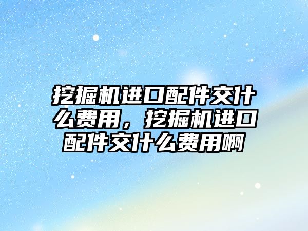 挖掘機進口配件交什么費用，挖掘機進口配件交什么費用啊