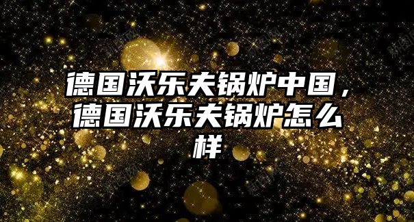德國(guó)沃樂夫鍋爐中國(guó)，德國(guó)沃樂夫鍋爐怎么樣