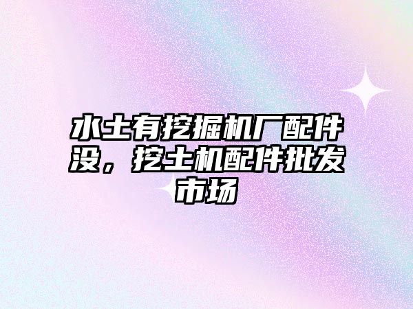 水土有挖掘機(jī)廠配件沒，挖土機(jī)配件批發(fā)市場