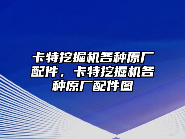 卡特挖掘機各種原廠配件，卡特挖掘機各種原廠配件圖
