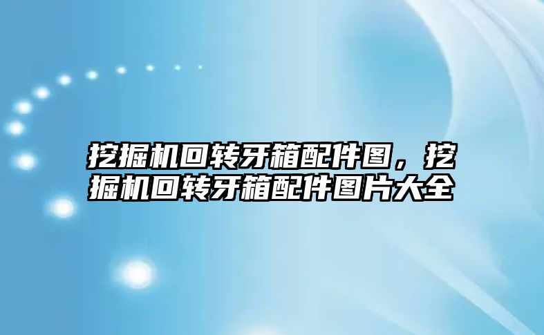 挖掘機(jī)回轉(zhuǎn)牙箱配件圖，挖掘機(jī)回轉(zhuǎn)牙箱配件圖片大全