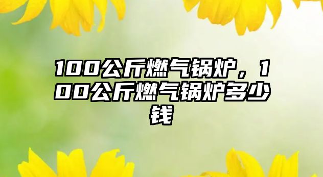 100公斤燃?xì)忮仩t，100公斤燃?xì)忮仩t多少錢(qián)
