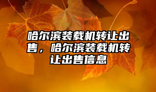 哈爾濱裝載機(jī)轉(zhuǎn)讓出售，哈爾濱裝載機(jī)轉(zhuǎn)讓出售信息