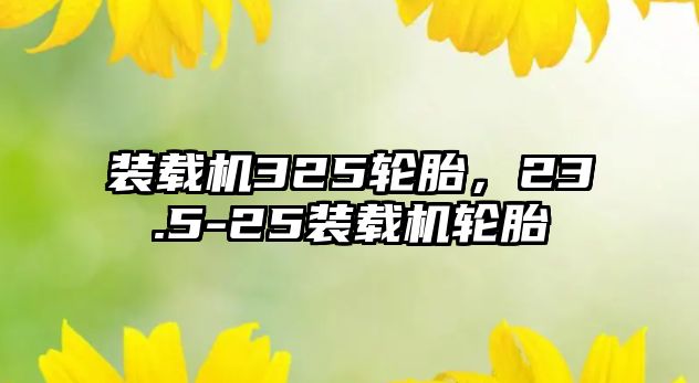 裝載機(jī)325輪胎，23.5-25裝載機(jī)輪胎