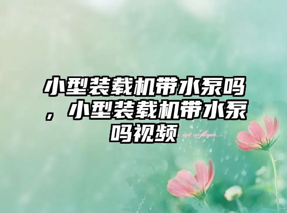小型裝載機(jī)帶水泵嗎，小型裝載機(jī)帶水泵嗎視頻