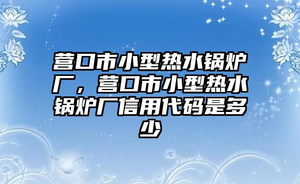 營口市小型熱水鍋爐廠，營口市小型熱水鍋爐廠信用代碼是多少