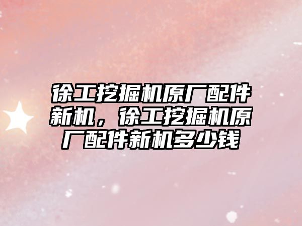 徐工挖掘機(jī)原廠配件新機(jī)，徐工挖掘機(jī)原廠配件新機(jī)多少錢