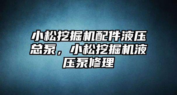 小松挖掘機配件液壓總泵，小松挖掘機液壓泵修理