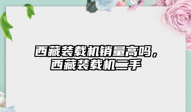 西藏裝載機銷量高嗎，西藏裝載機二手