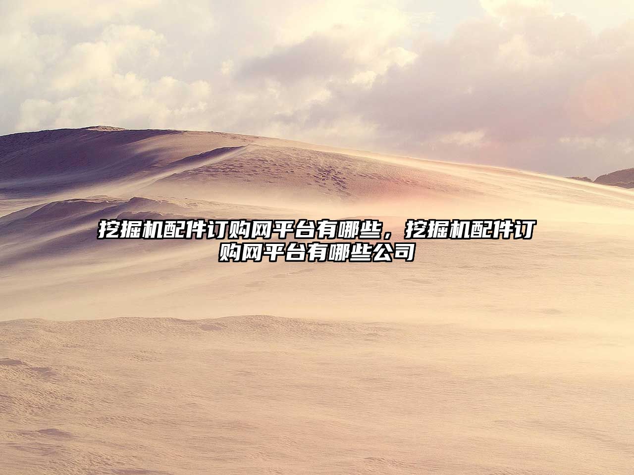 挖掘機配件訂購網(wǎng)平臺有哪些，挖掘機配件訂購網(wǎng)平臺有哪些公司