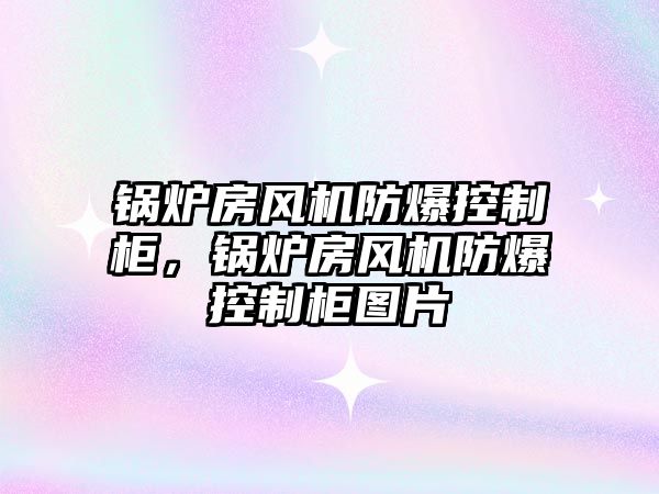 鍋爐房風機防爆控制柜，鍋爐房風機防爆控制柜圖片