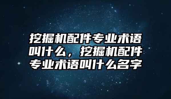 挖掘機(jī)配件專業(yè)術(shù)語叫什么，挖掘機(jī)配件專業(yè)術(shù)語叫什么名字