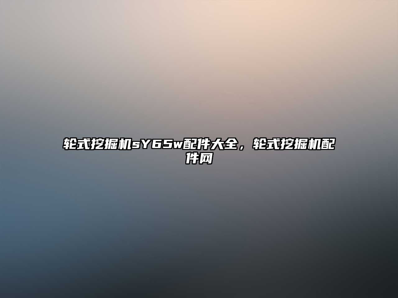 輪式挖掘機(jī)sY65w配件大全，輪式挖掘機(jī)配件網(wǎng)