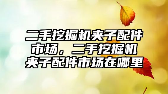 二手挖掘機(jī)夾子配件市場(chǎng)，二手挖掘機(jī)夾子配件市場(chǎng)在哪里