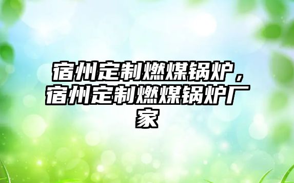 宿州定制燃煤鍋爐，宿州定制燃煤鍋爐廠家