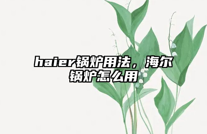 haier鍋爐用法，海爾鍋爐怎么用