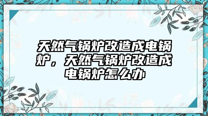 天然氣鍋爐改造成電鍋爐，天然氣鍋爐改造成電鍋爐怎么辦