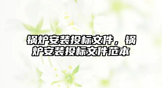 鍋爐安裝投標(biāo)文件，鍋爐安裝投標(biāo)文件范本