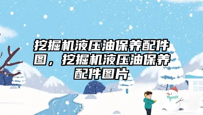 挖掘機液壓油保養(yǎng)配件圖，挖掘機液壓油保養(yǎng)配件圖片