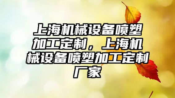 上海機(jī)械設(shè)備噴塑加工定制，上海機(jī)械設(shè)備噴塑加工定制廠家