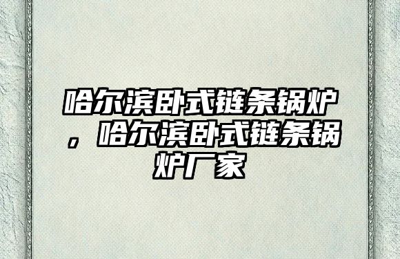 哈爾濱臥式鏈條鍋爐，哈爾濱臥式鏈條鍋爐廠家