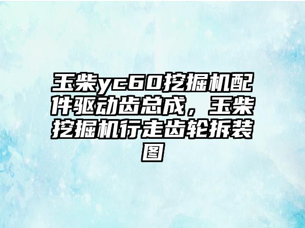 玉柴yc60挖掘機(jī)配件驅(qū)動(dòng)齒總成，玉柴挖掘機(jī)行走齒輪拆裝圖