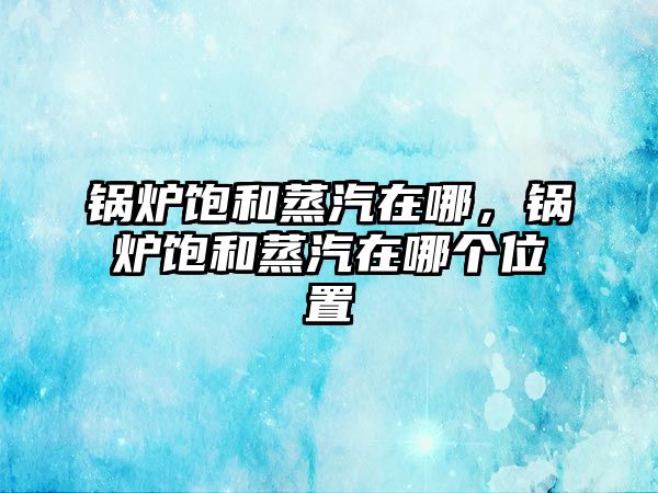 鍋爐飽和蒸汽在哪，鍋爐飽和蒸汽在哪個位置