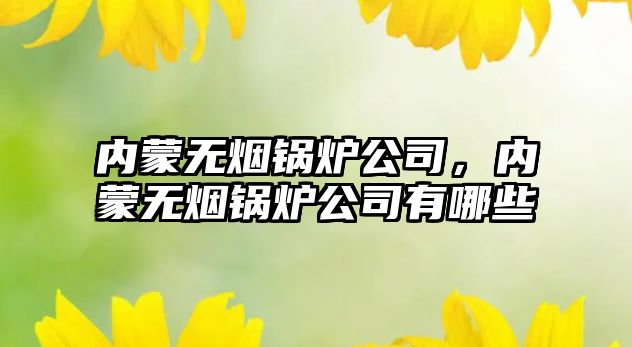 內(nèi)蒙無煙鍋爐公司，內(nèi)蒙無煙鍋爐公司有哪些
