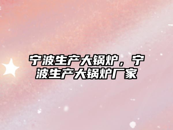 寧波生產(chǎn)大鍋爐，寧波生產(chǎn)大鍋爐廠家