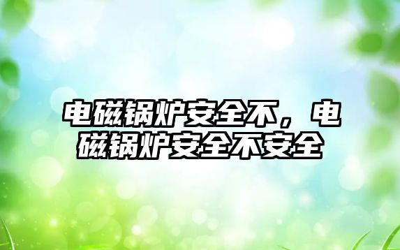 電磁鍋爐安全不，電磁鍋爐安全不安全