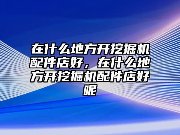 在什么地方開(kāi)挖掘機(jī)配件店好，在什么地方開(kāi)挖掘機(jī)配件店好呢