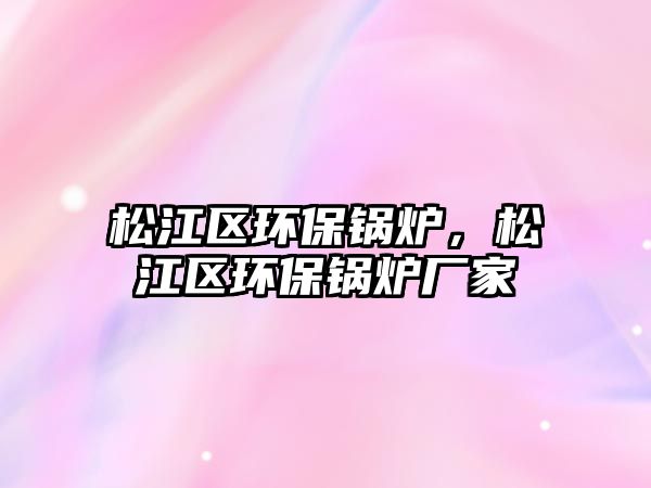 松江區(qū)環(huán)保鍋爐，松江區(qū)環(huán)保鍋爐廠家