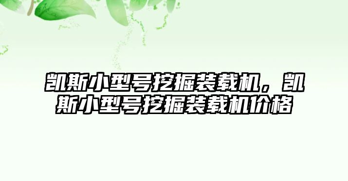 凱斯小型號(hào)挖掘裝載機(jī)，凱斯小型號(hào)挖掘裝載機(jī)價(jià)格