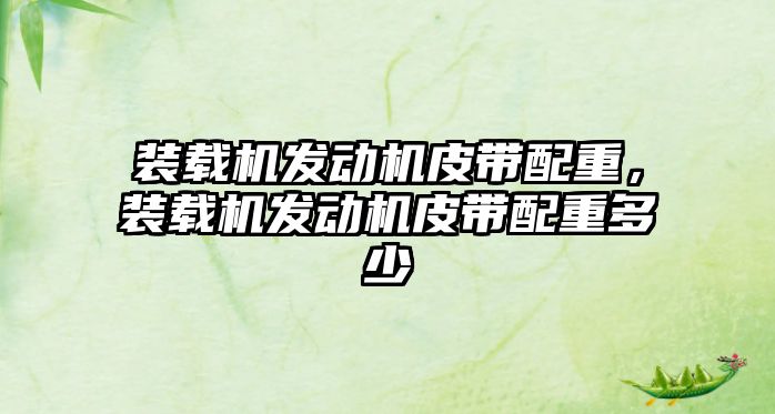 裝載機(jī)發(fā)動(dòng)機(jī)皮帶配重，裝載機(jī)發(fā)動(dòng)機(jī)皮帶配重多少