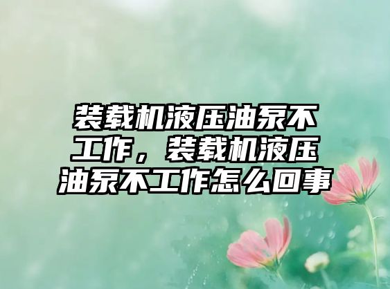 裝載機(jī)液壓油泵不工作，裝載機(jī)液壓油泵不工作怎么回事