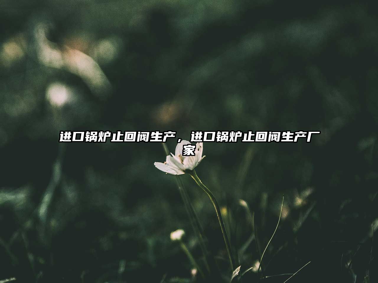 進(jìn)口鍋爐止回閥生產(chǎn)，進(jìn)口鍋爐止回閥生產(chǎn)廠家