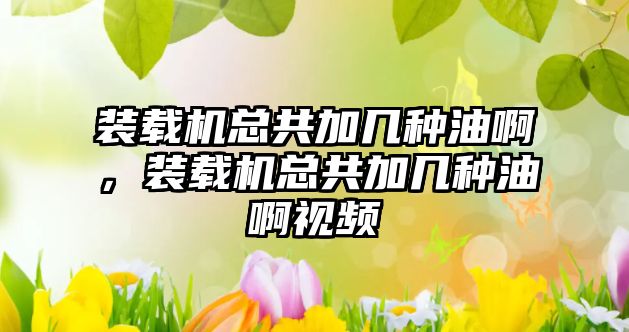裝載機(jī)總共加幾種油啊，裝載機(jī)總共加幾種油啊視頻